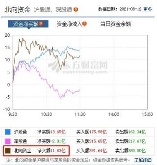 市值1000亿元的光伏龙头金高科技开盘后迅速下跌触及日线跌停早盘收跌逾7