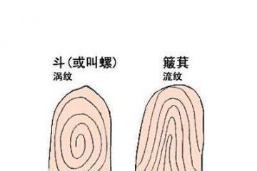 涡纹和流纹代表什么呢？从指纹看你出的命运