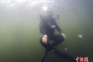 长沙石燕湖开放湖底参观潜水员与“水中大熊猫”共舞
