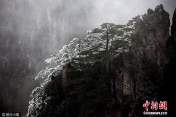 安徽黄山出现今冬首场雾凇景观