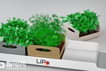 绿植忘记浇水了花盆各种“智能”诚会玩