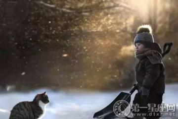 如果可以不吃苦,就一定不吃的星座