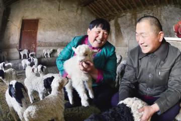 [网络媒体走转改]大年初二接羔忙