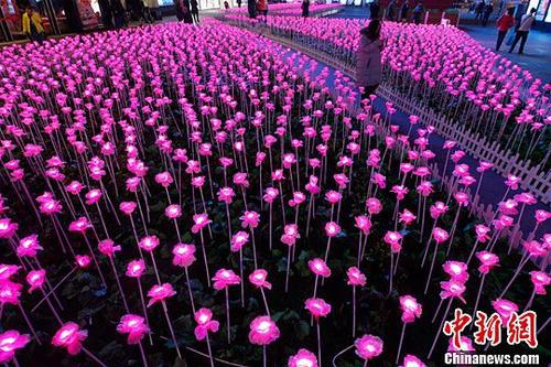 情人节临近数千朵玫瑰花灯绽放京城
