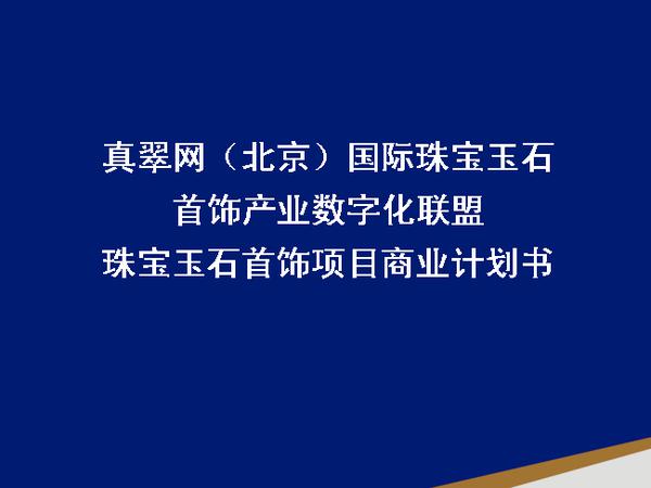 深圳市中金普华编制-互联网+项目商业计划书