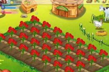 专业定制富贵乐园农场种植系统