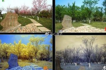 心澄子说风水：五行平衡过吗？