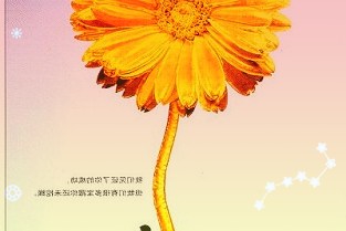 中科创达300496：无惧疫情扰动标准化产品抢占先机